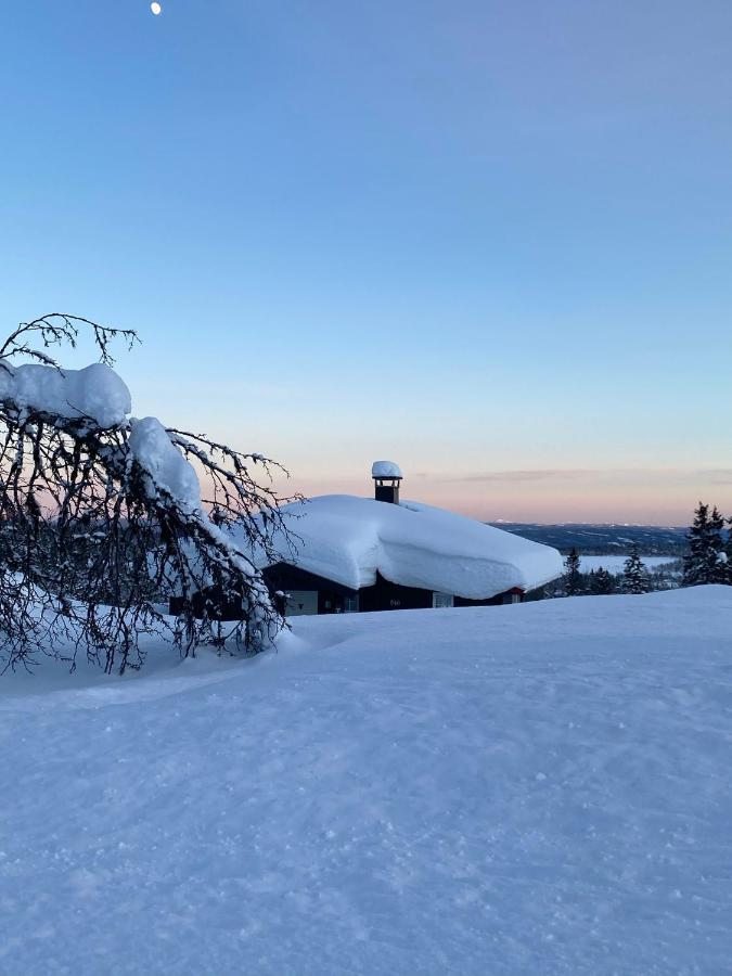Cabin In The Mountain, Outstanding View & Solar Energy Slidre ภายนอก รูปภาพ