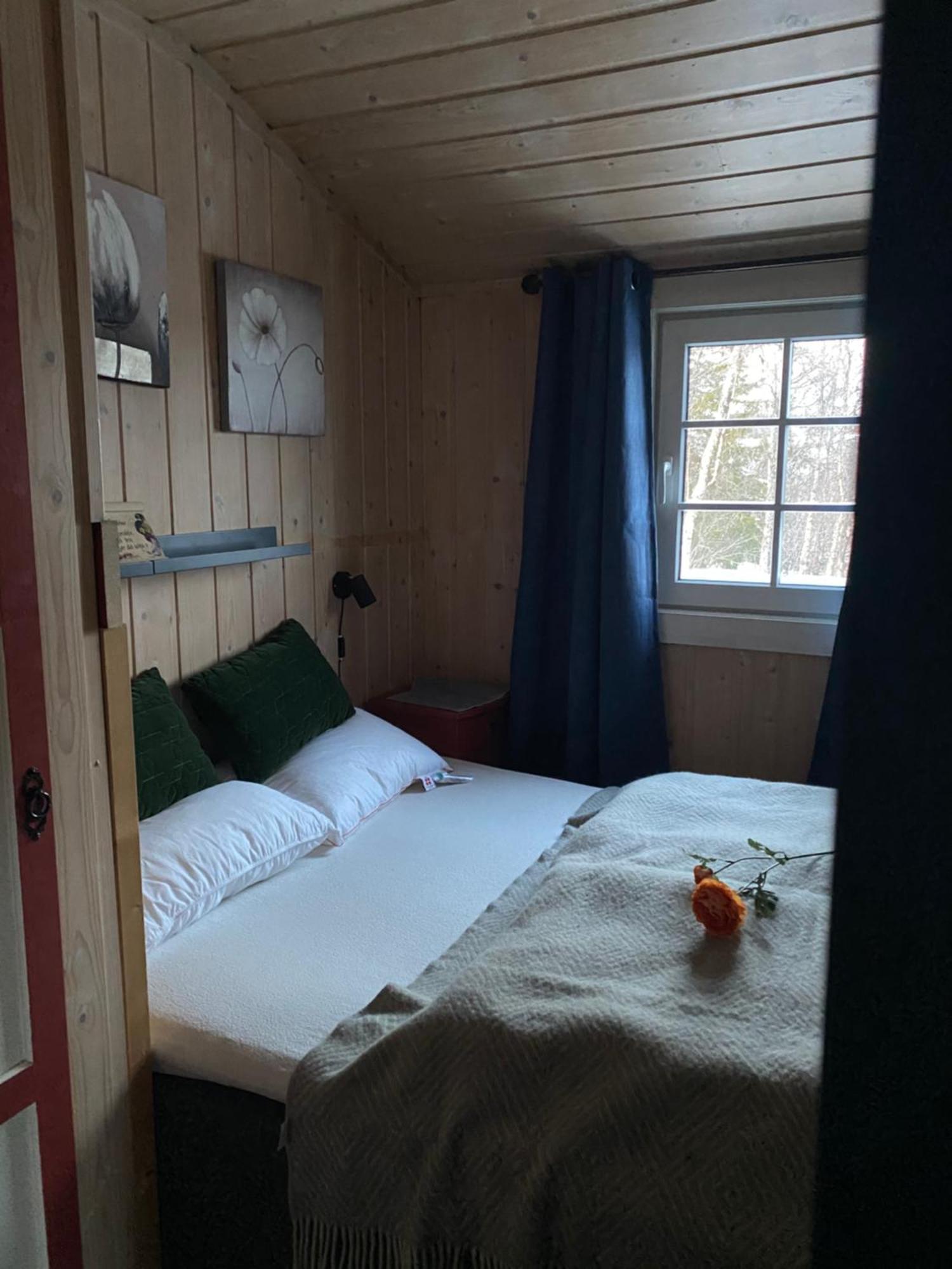 Cabin In The Mountain, Outstanding View & Solar Energy Slidre ภายนอก รูปภาพ